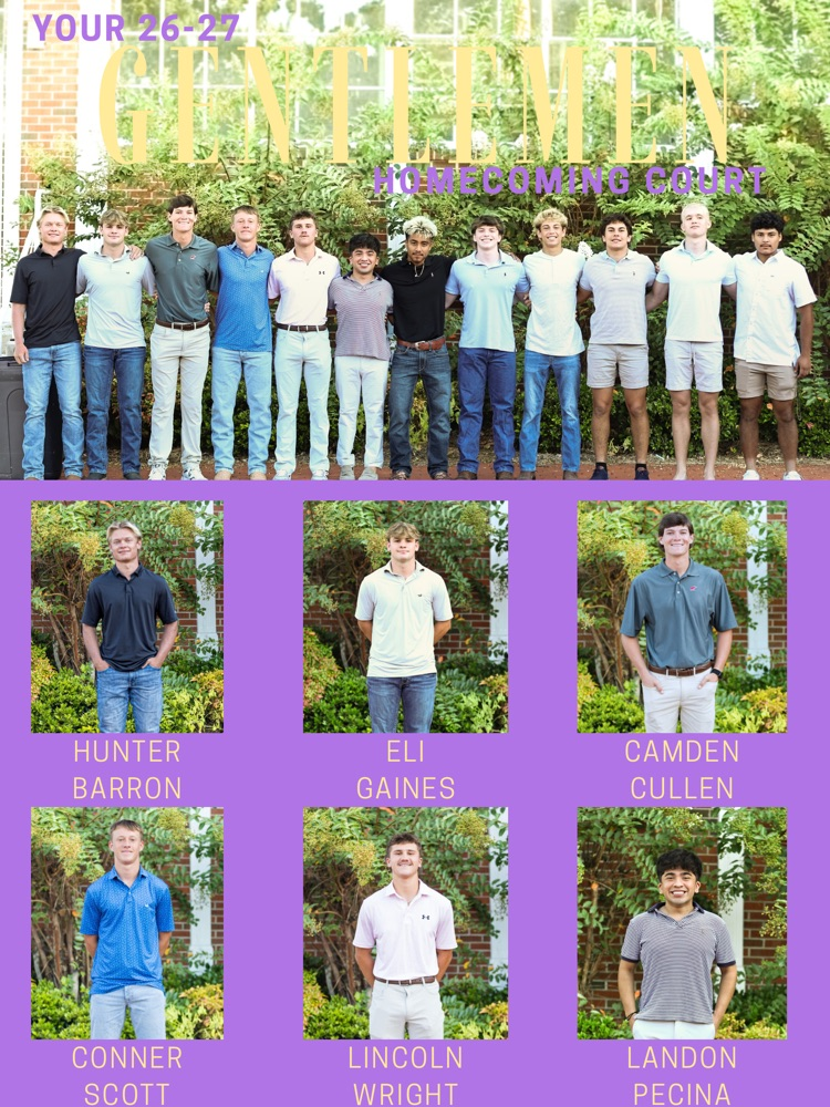 hoco court 