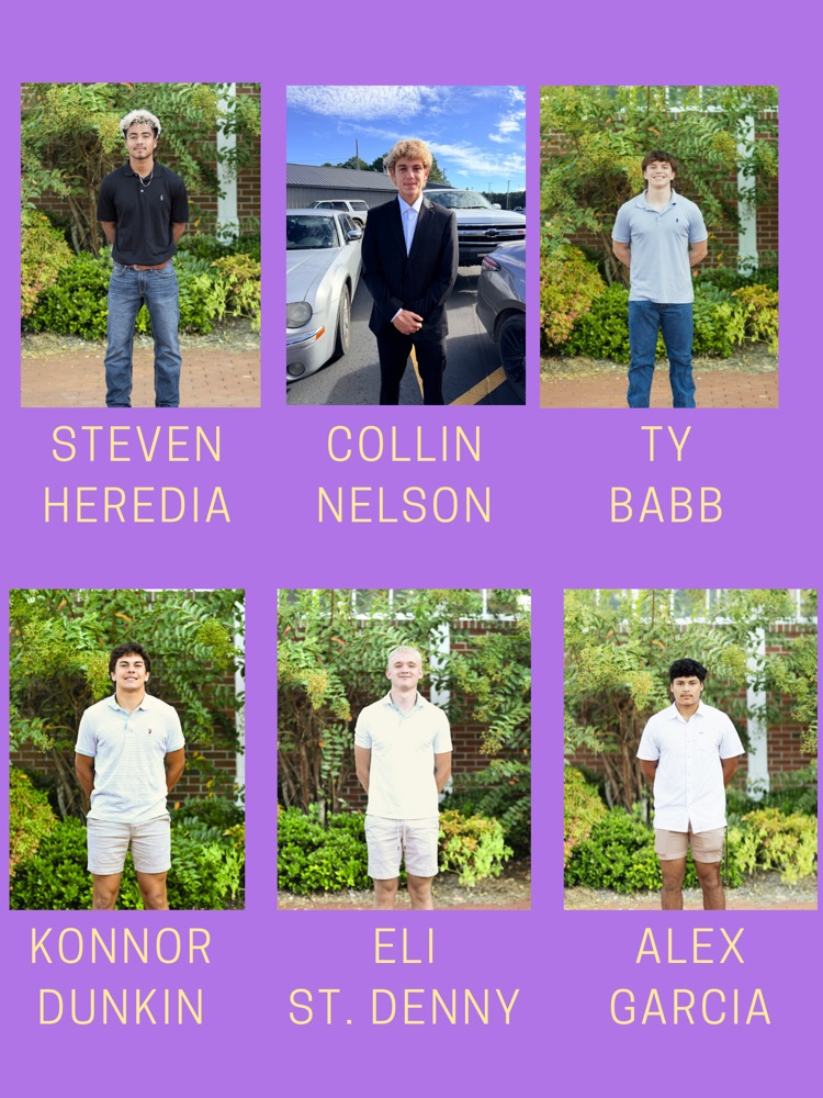 hoco court 