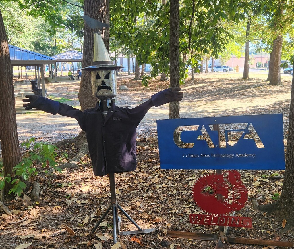 cata