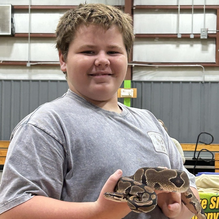 snake show