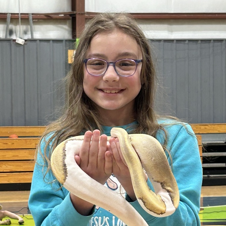 snake show