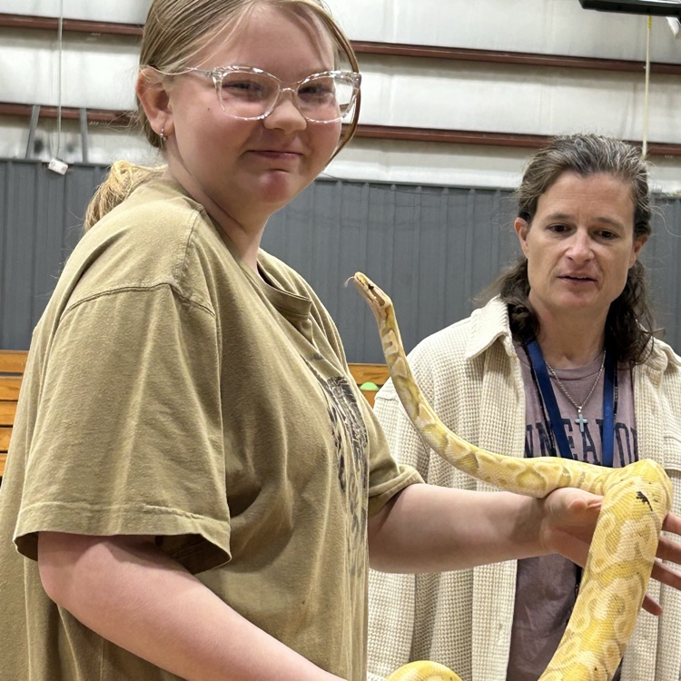 snake show
