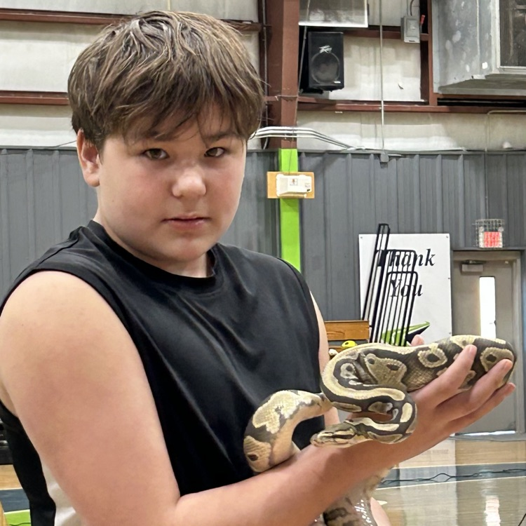 snake show