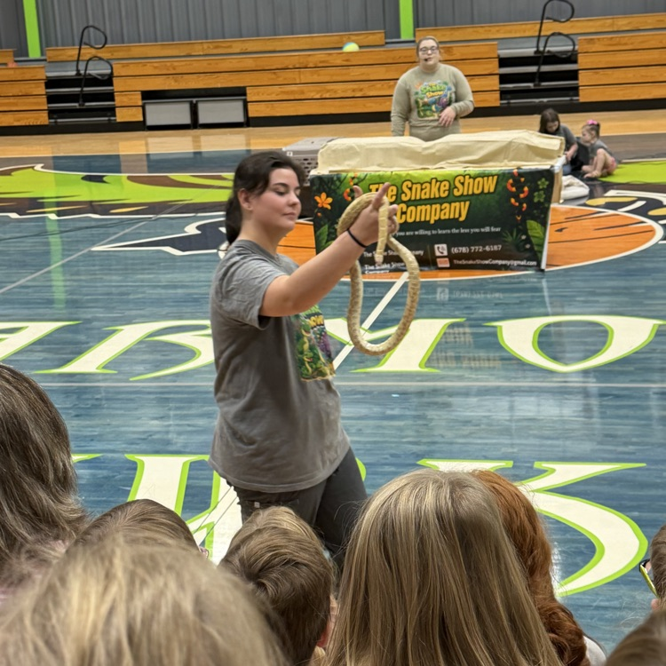 snake show