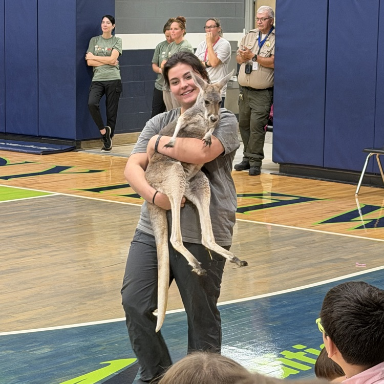 snake show
