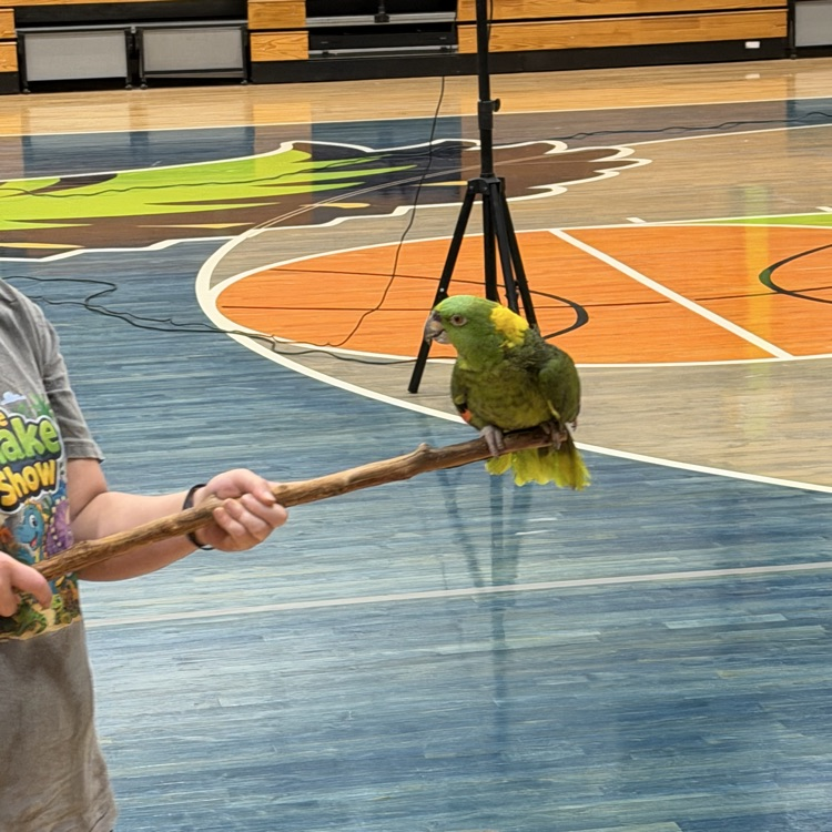 snake show