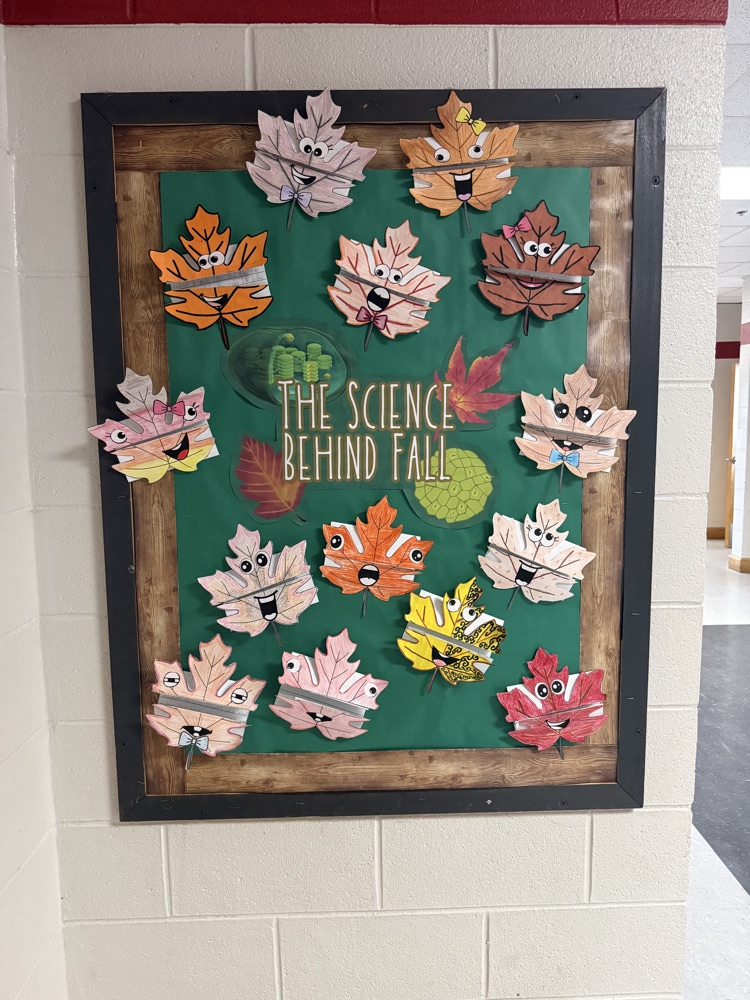 A bulletin board with a green background. Many colorful autumn leaves in different shapes and colors are pinned to the board.