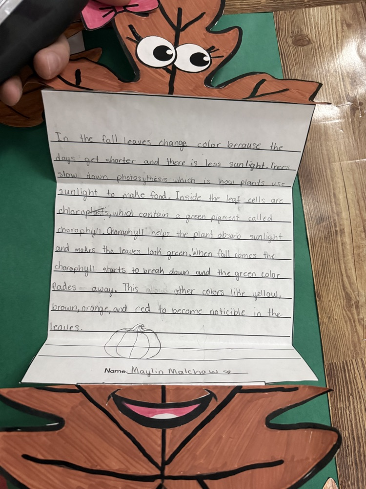 A hand holds a paper booklet open to a page with text about leaves. The booklet has a cartoon-like leaf character with a smiling face and text.