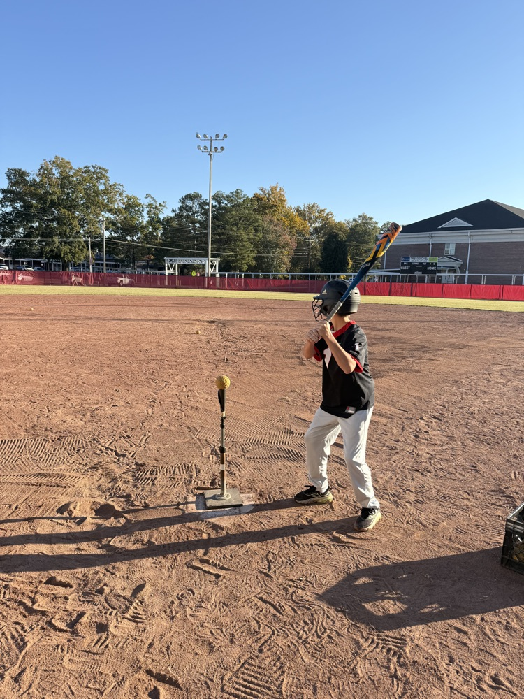 Child standing in a dirt field holding a baseball bat over a tee with a ball.