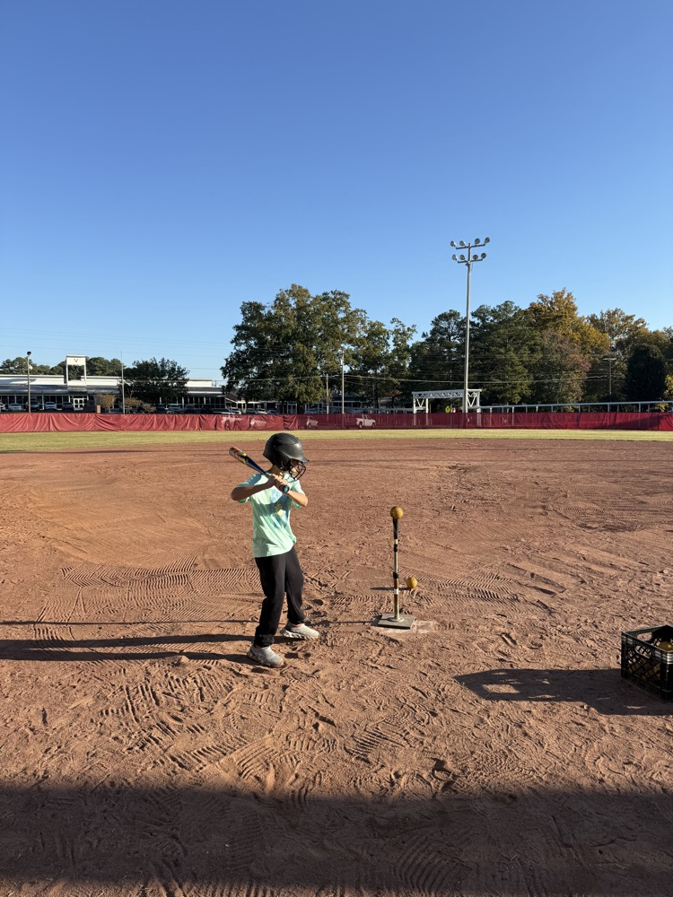 A person stands in a dirt field, holding a baseball bat, preparing to hit a ball.
