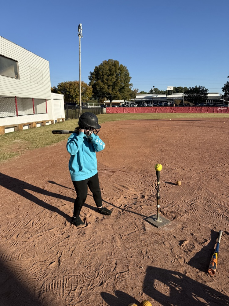 Child with a bat stands at a tee, holding a ball, with additional balls and bats nearby.