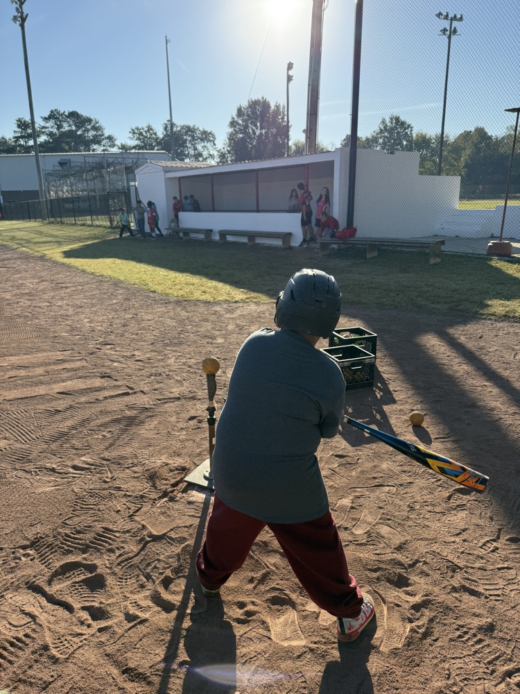 Person in red pants and gray shirt holding a baseball bat and hitting a ball.