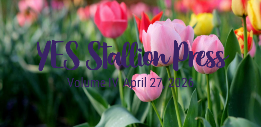 Newsletter cover featuring pink and red tulips in a garden setting. Purple script text reads 'YES Stallion Press,' with smaller text saying 'Volume IV April 27, 2026.