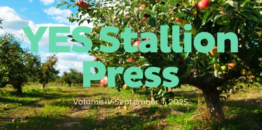 Newsletter cover with an apple orchard background, showing rows of trees full of red and green apples under a bright sky. Large bold text in the center reads 'YES Stallion Press.' Smaller text below says 'Volume IV September 1, 2025.'