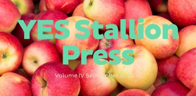 Newsletter cover with a close-up background of red and yellow apples piled together. Large bold text in the center reads 'YES Stallion Press.' Smaller text below says 'Volume IV September 8, 2025.