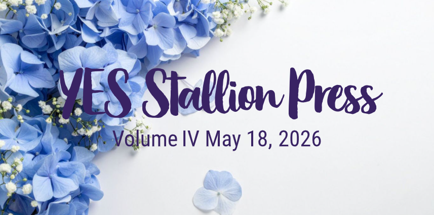 Newsletter cover featuring blue hydrangea flowers on a white background. Purple script text reads 'YES Stallion Press,' with smaller text saying 'Volume IV May 18, 2026.