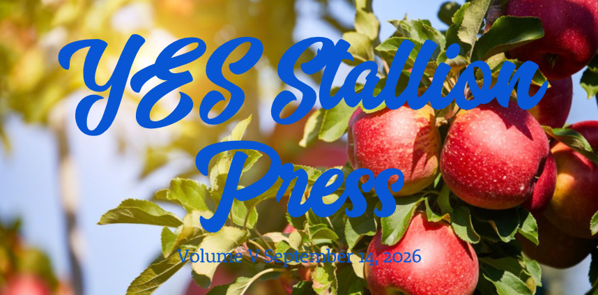 Newsletter banner featuring red apples growing on a sunlit tree with blue script reading “YES Stallion Press” and smaller text reading “Volume V, September 14, 2026.”