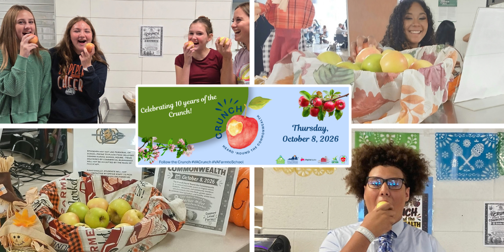 Collage celebrating the 10th anniversary of the Virginia Crunch on October 8, 2026. Photos show CCPS students and staff smiling, holding and biting into apples, along with baskets of fresh apples displayed for the celebration. A Virginia Crunch promotional graphic appears in the center, highlighting healthy eating and Virginia-grown agriculture.