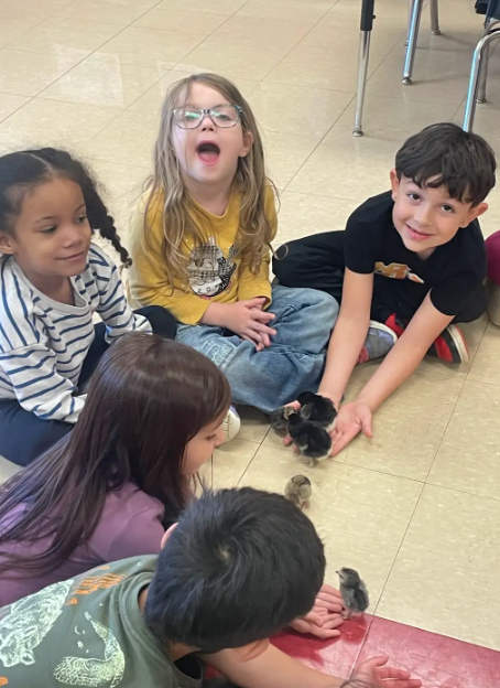 A group of five young students sitting in a circle on the floor, smiling and interacting with black and yellow chicks walking between them.