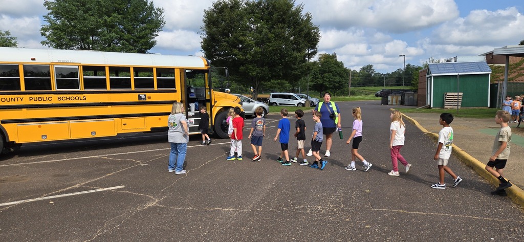 students lining up to enter the bus