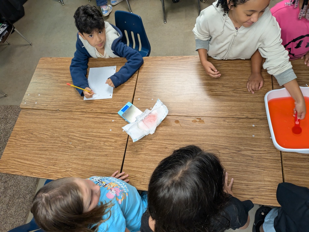 4th graders seeing how much liquid a diaper will hold.