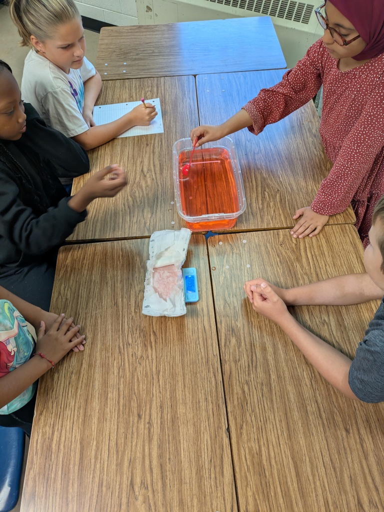 4th graders seeing how much liquid a diaper will hold.