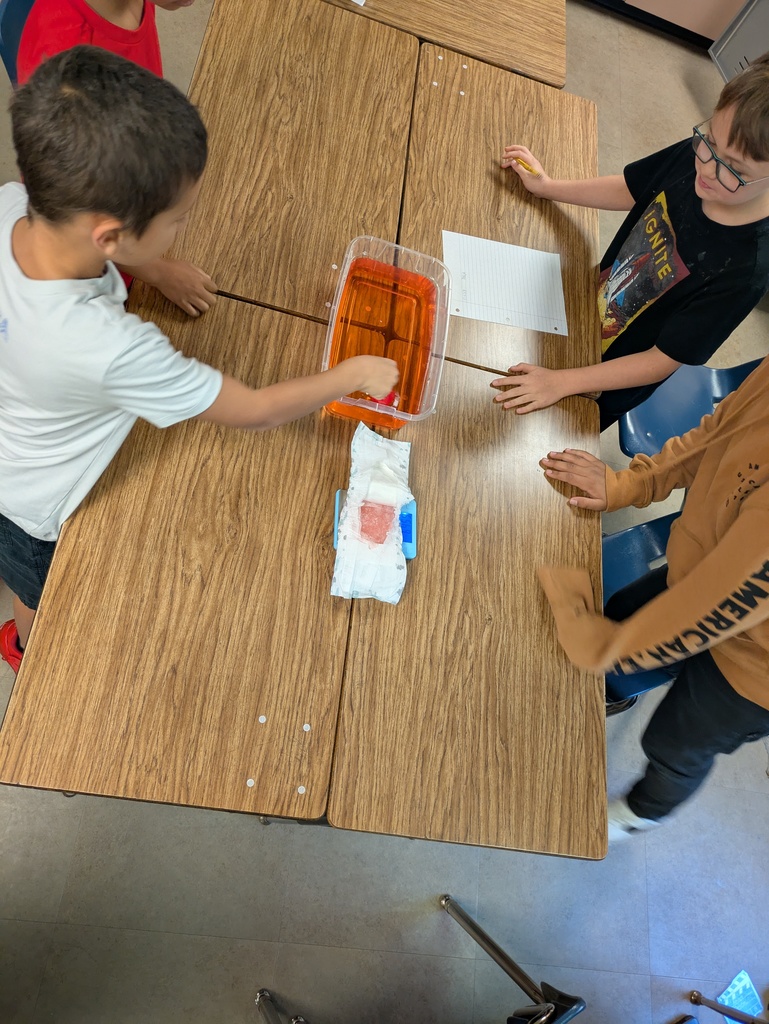 4th graders seeing how much liquid a diaper will hold.