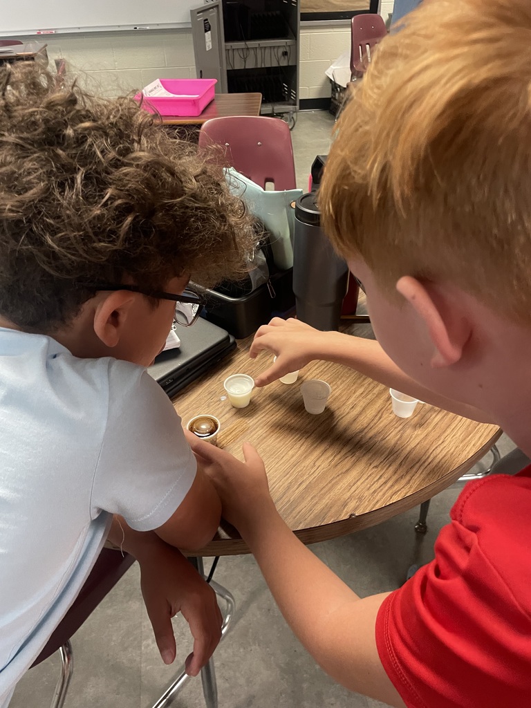 Mrs. Sheads' 5th Graders were  applying their knowledge about the  scientific method by testing which liquid will melt the ice the fastest!