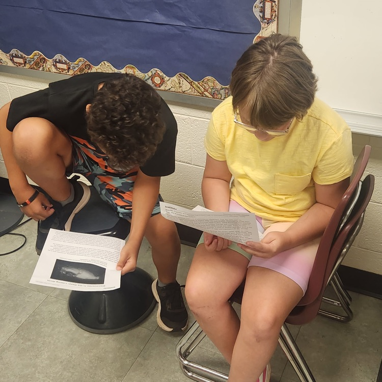 Mr. Hallett's 5th graders on Day 4 of paired readings, starting to get the hang of it!