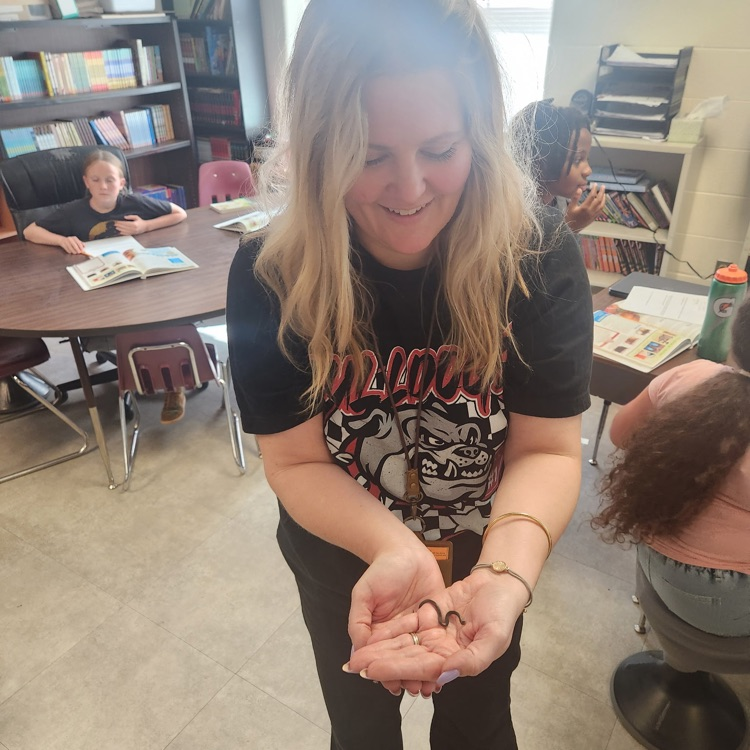 When nature finds its way into your class during science, you stop and talk about it.