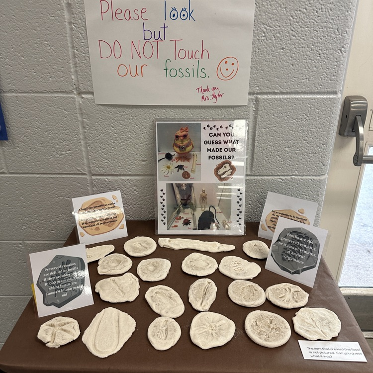 AGR second graders are gearing up for tomorrow's dinosaur field trip!