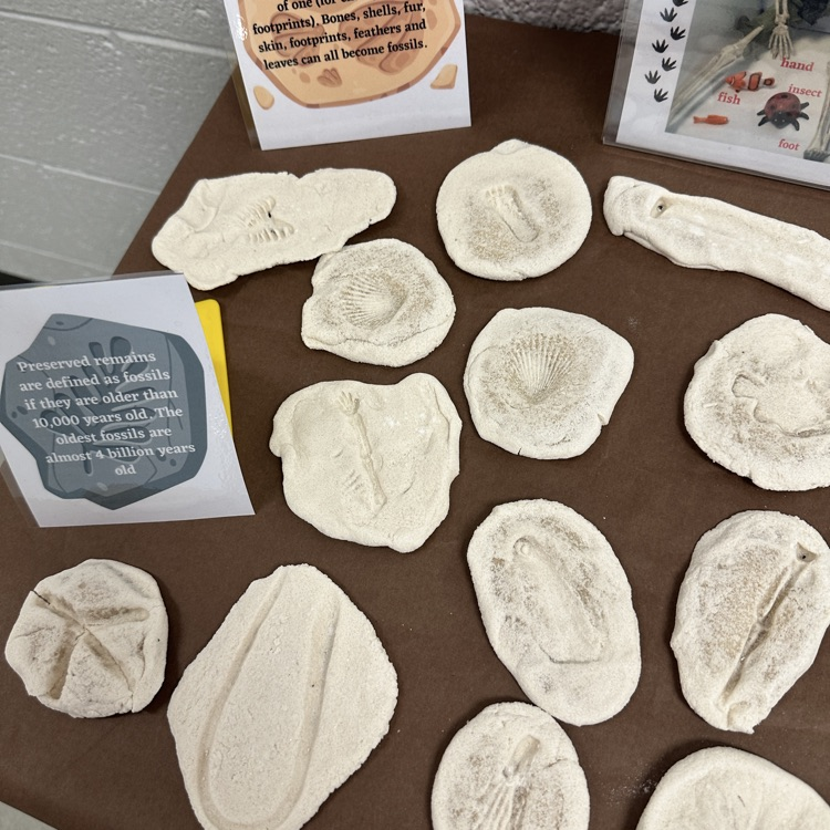 AGR second graders are gearing up for tomorrow's dinosaur field trip!