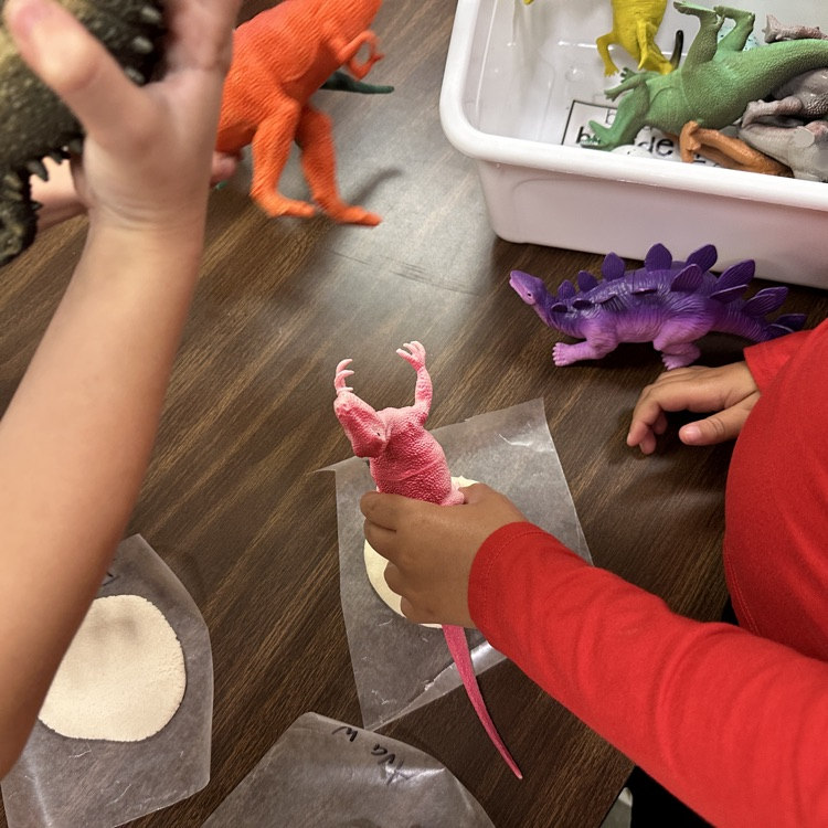 Fresh off of their field trip, AGR 2nd graders were making dinosaur fossils today!  Pictured our students in Miss Jenkins and Mrs. Zinn's class