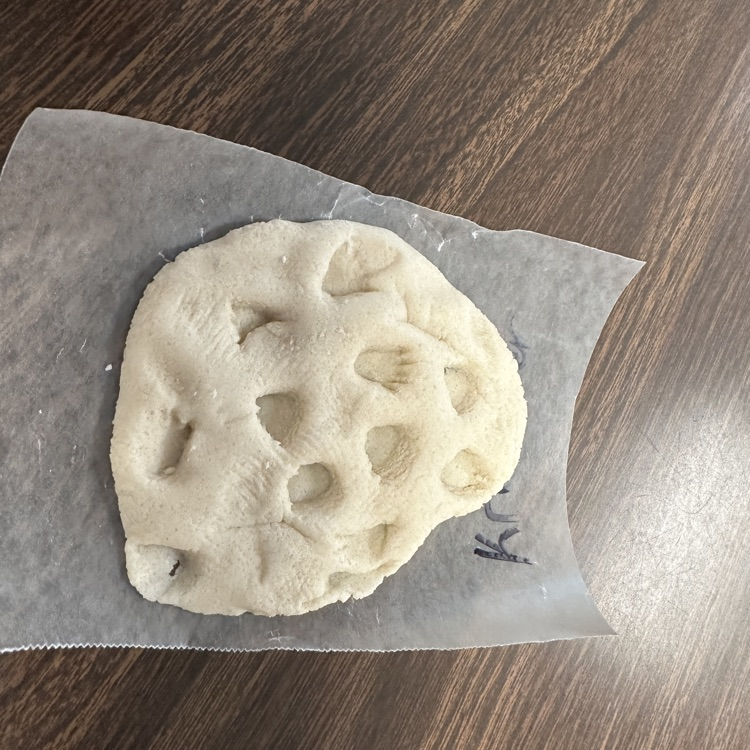 Fresh off of their field trip, AGR 2nd graders were making dinosaur fossils today!  Pictured our students in Miss Jenkins and Mrs. Zinn's class