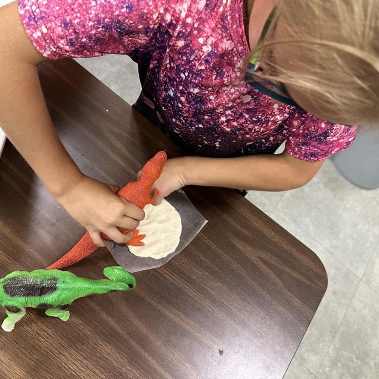 Fresh off of their field trip, AGR 2nd graders were making dinosaur fossils today!  Pictured our students in Miss Jenkins and Mrs. Zinn's class