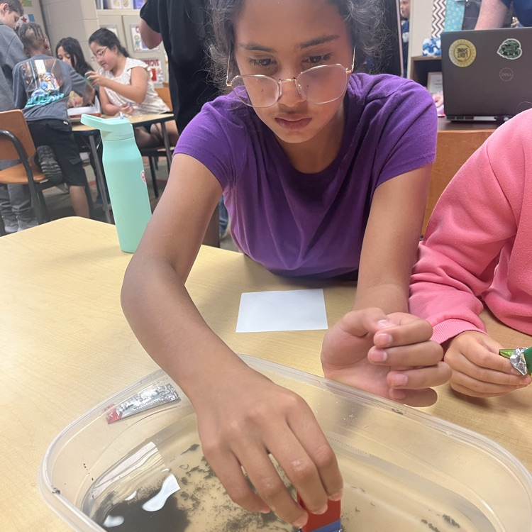a student with a purple shirt and glasses uses a bar magnet to extract iron filings from a container of water 