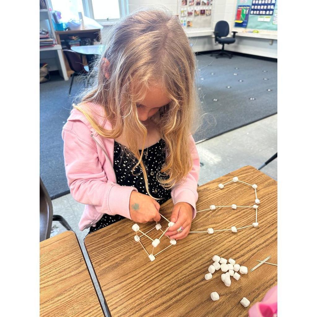 A student in a pink sweater concentrates on assembling a 3D marshmallow and toothpick structure.
