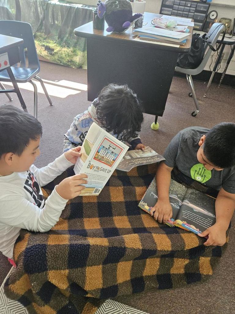 Three boys sit together on a blanket, each reading a different book. One holds a graphic novel, another reads a picture book, and the third looks at a nonfiction text.