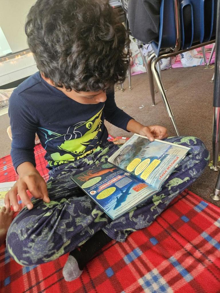 A boy in pajama pants with dinosaurs on them sits cross-legged on a red plaid blanket, reading a nonfiction book about sharks and ocean animals.