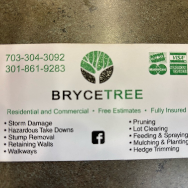 Bryce Tree business card with contact info and list of tree/landscaping services.