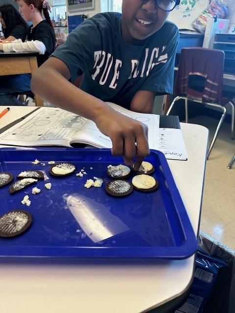 A student at a desk uses cookies with cream scraped off on a blue tray, possibly for a classroom science activity. An open notebook is in front of them.