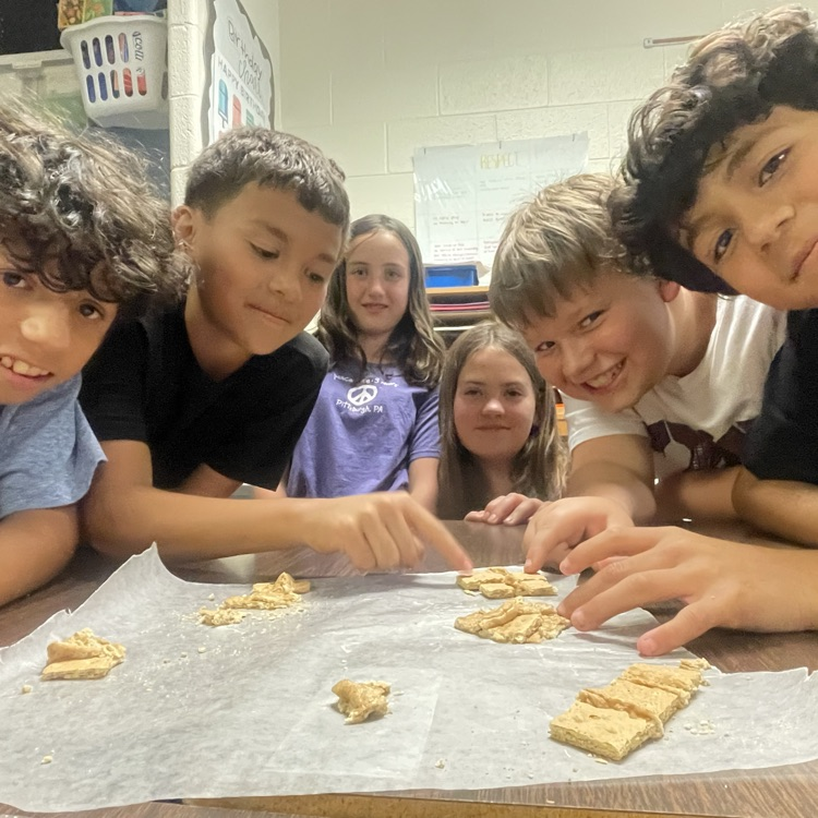 Students in Mrs Sheads' created examples of divergent boundary and convergent boundaries using icing and graham crackers!