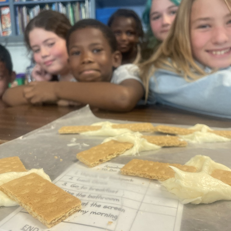 Students in Mrs Sheads' created examples of divergent boundary and convergent boundaries using icing and graham crackers!