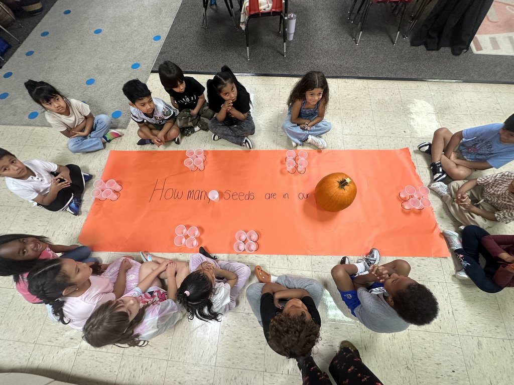 Students sitting in a circle around an orange poster with a pumpkin in the center, preparing to guess how many seeds are inside.
