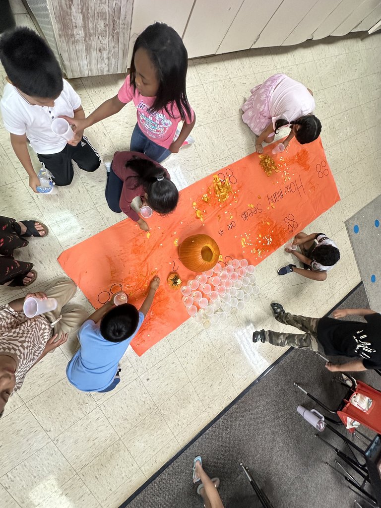 Overhead view of students spread around the orange paper, sorting pumpkin seeds into plastic cups.