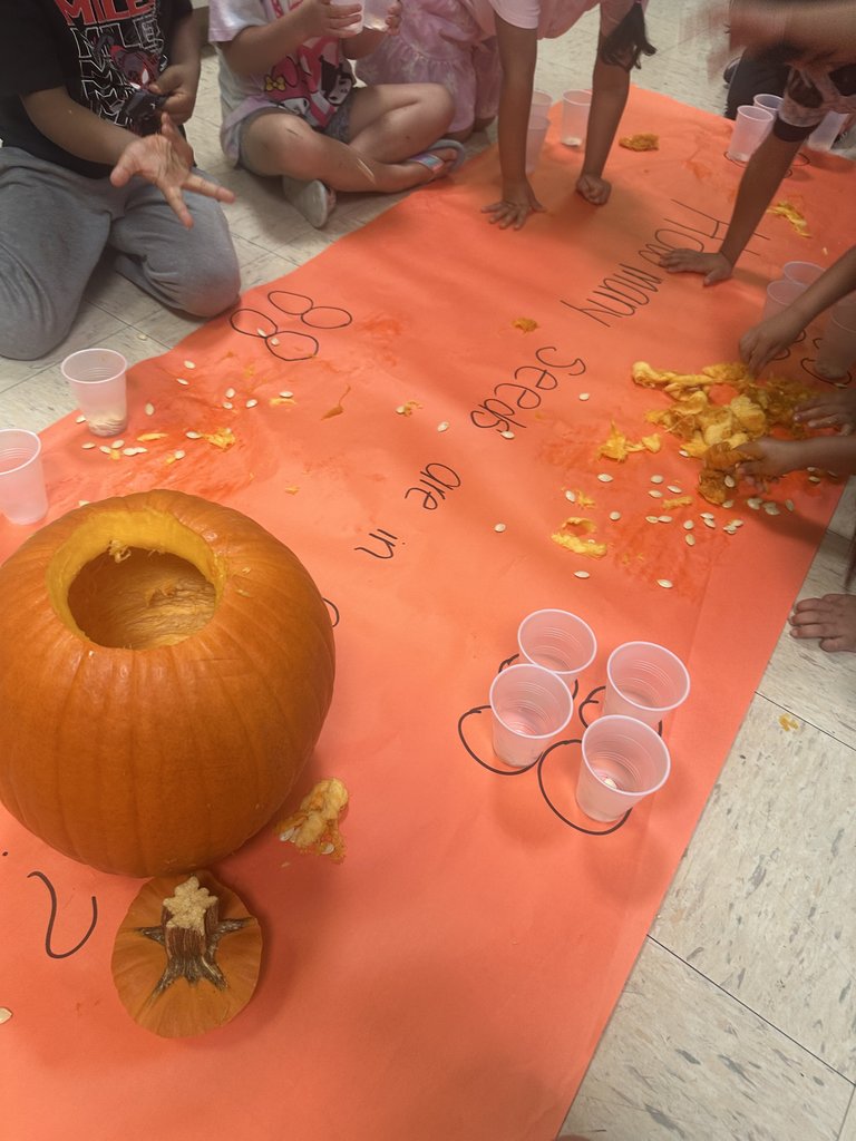 Children scooping seeds and pulp from the pumpkin and placing them into small plastic cups on the orange poster.
