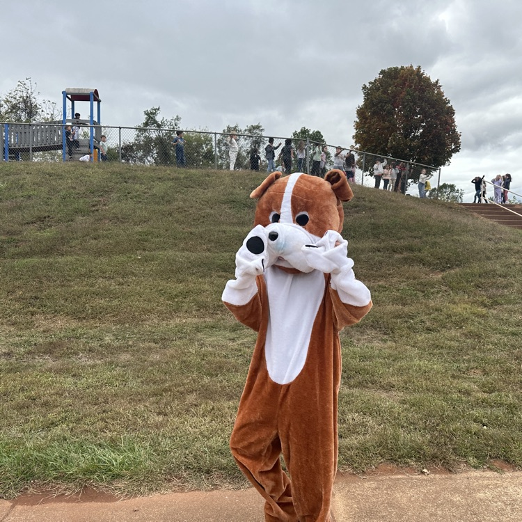 pictured here is the AGR fun run inflatable race