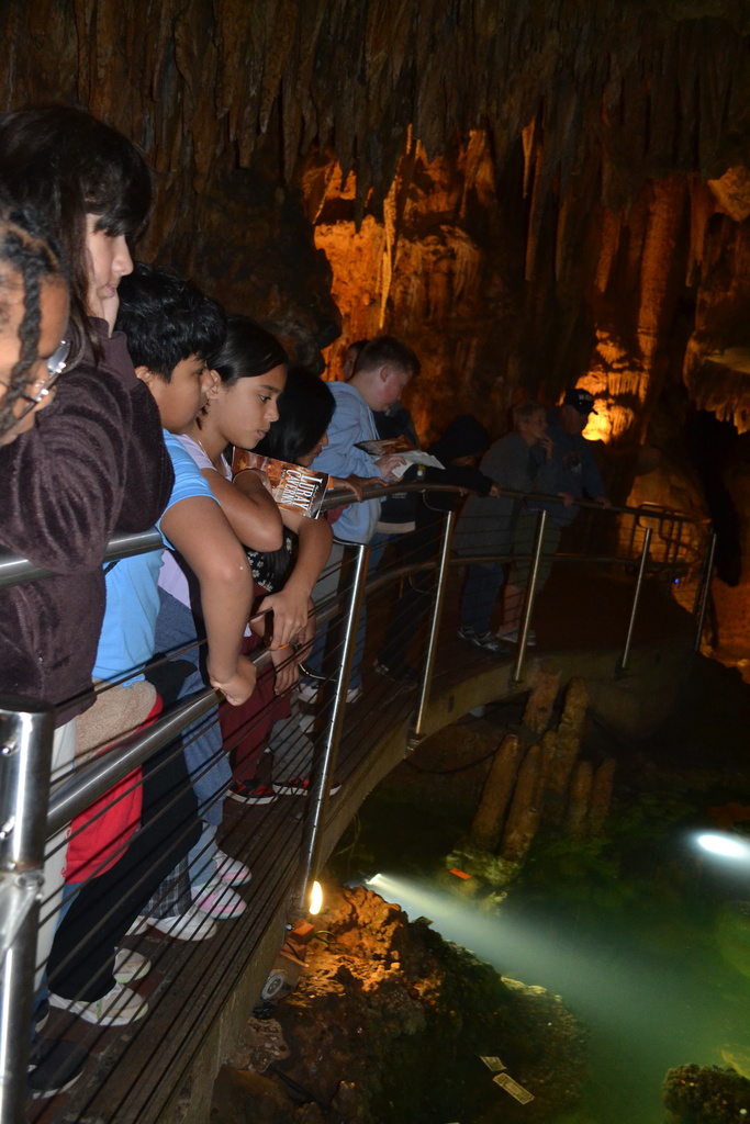 Image contains the students looking at the wishing well in Luray Caverns