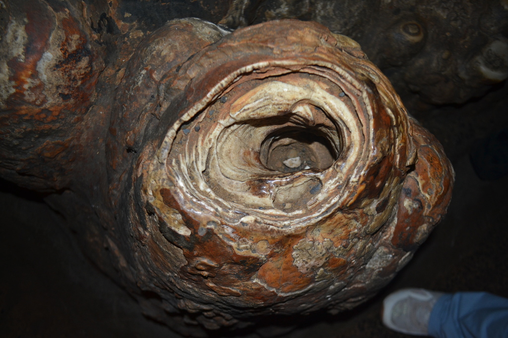 Image of a structure found in Luray Caverns