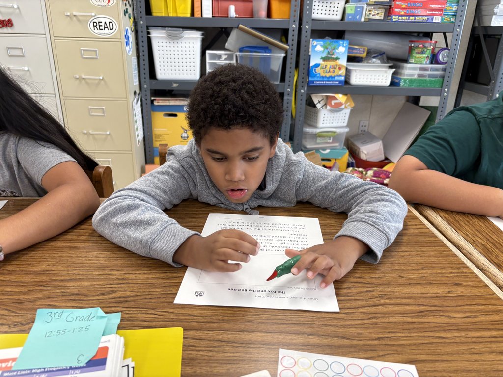 A close-up of an elementary school-aged boy with curly hair, wearing a grey hooded sweatshirt, concentrating on a worksheet titled "The Fox and the Red Hen." He is holding a green marker over the paper. The edge of a binder labeled "3rd Grade" is visible in the foreground.